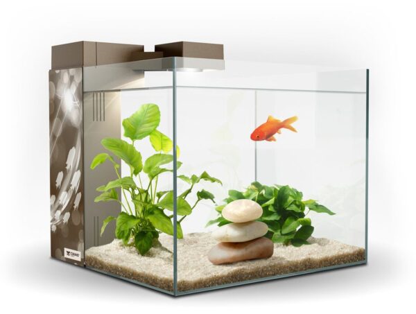 ACUARIO ZENEO 30 ECLAT