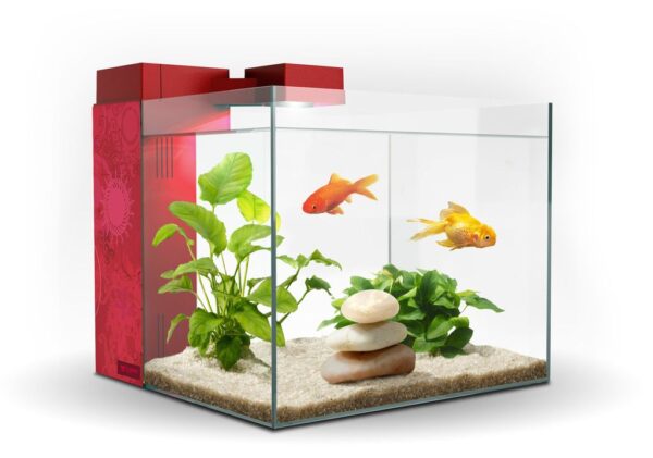 ACUARIO ZENEO 30 JUNGLE